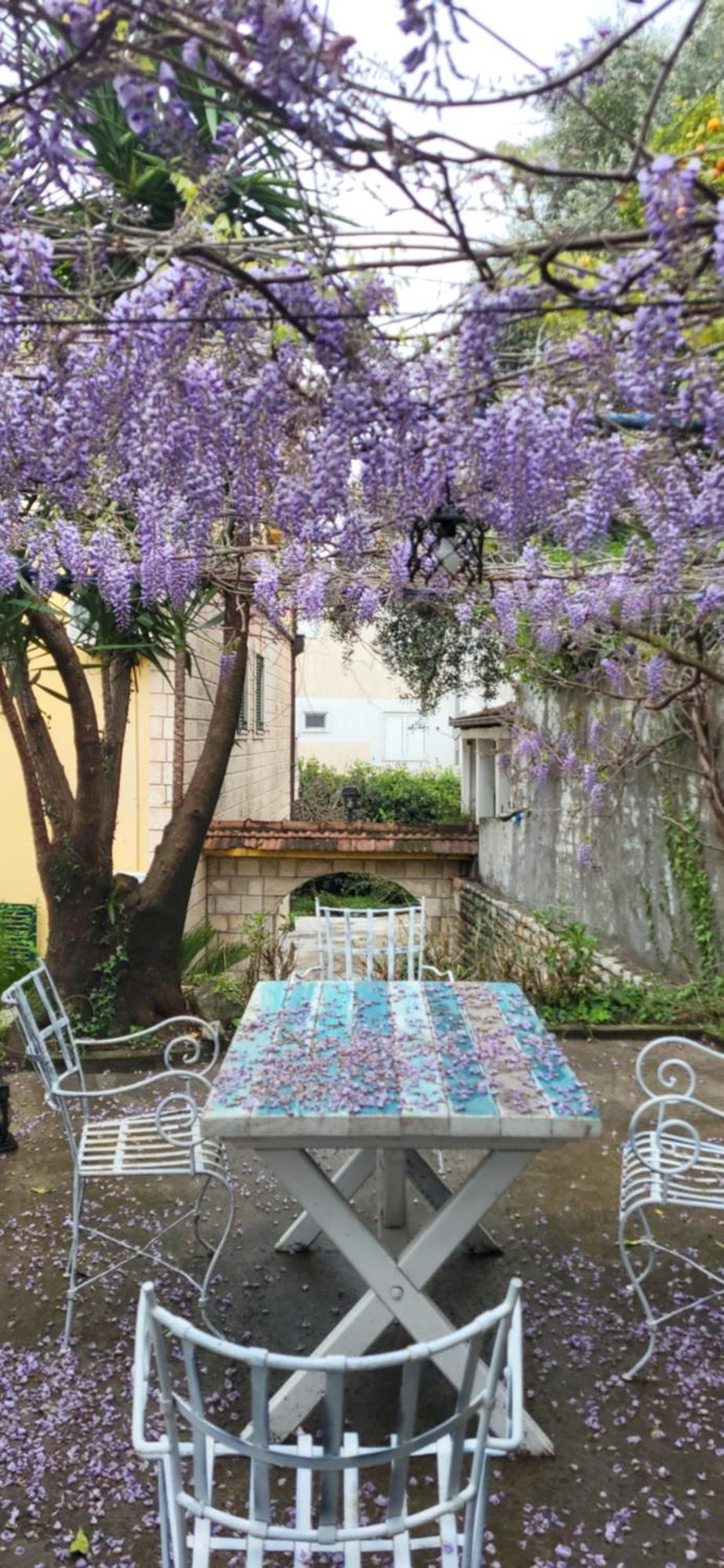 Studio Apartman Meljine Bagian luar foto